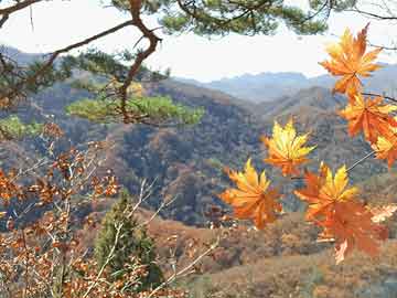 石家庄香橼墅价格信息